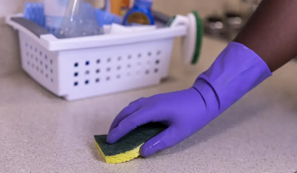 Deep cleaning: Cleaning Kitchen Counter