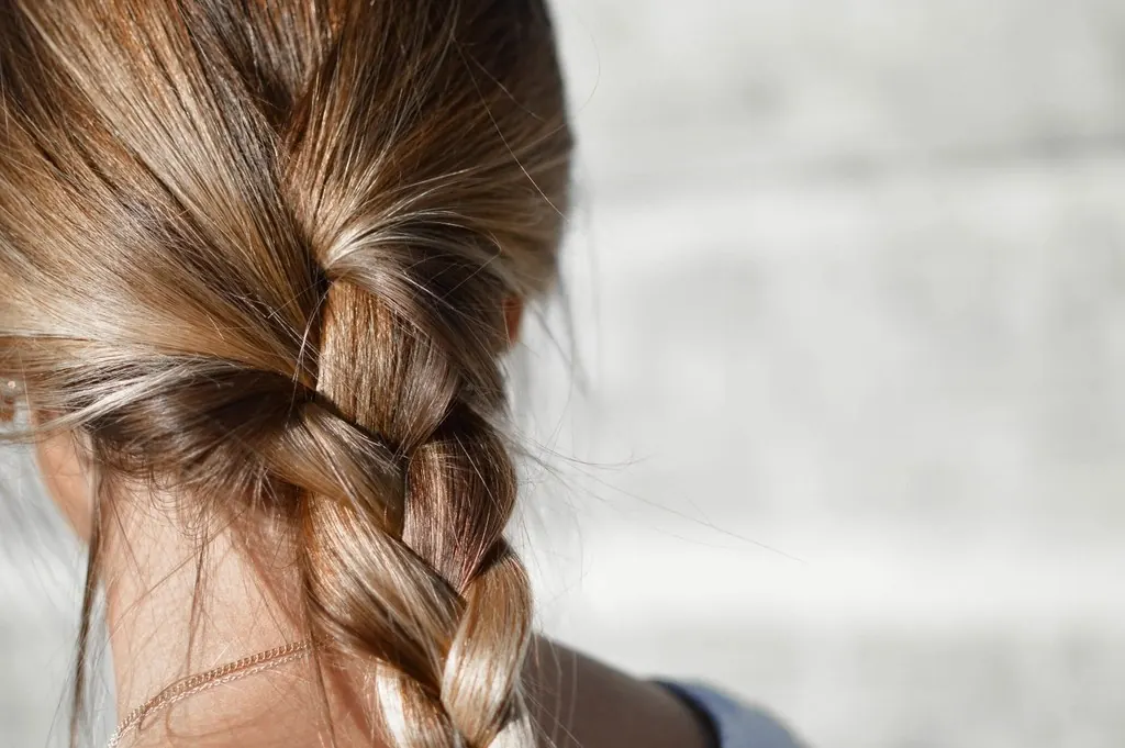 Braids: Braided hair