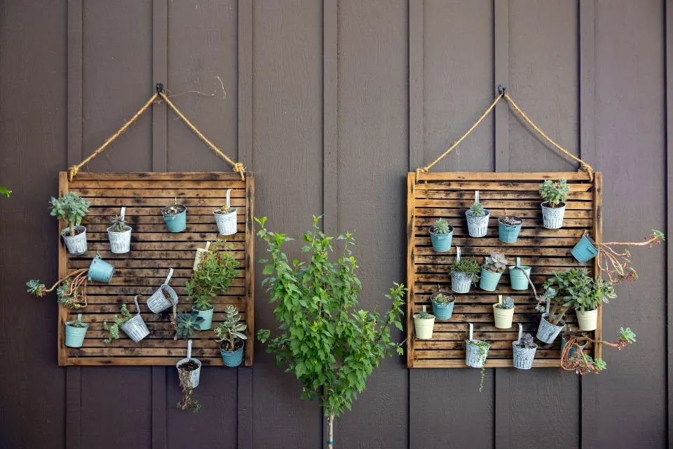 Mounting: Potted Plants