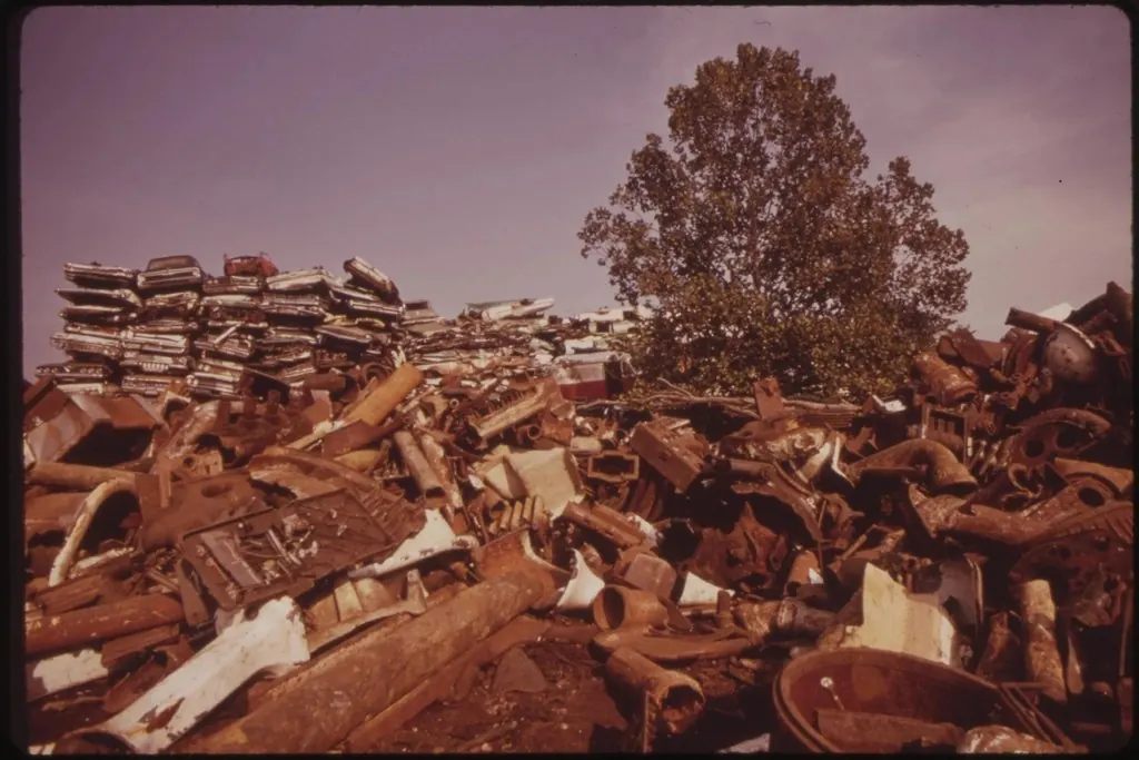 Auto lot cleanouts: Tree Grows Philadelphia Junkyard, August