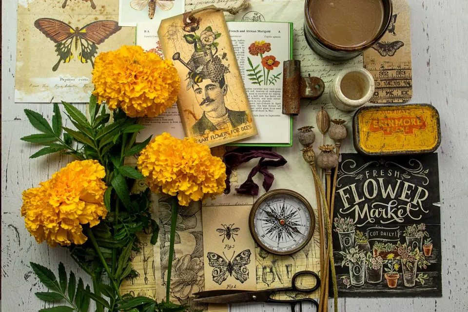 Garden design: Botanical Flatlay