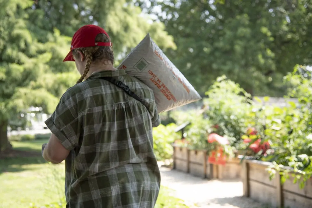 Gardener carrying a bag of soil past raised garden beds