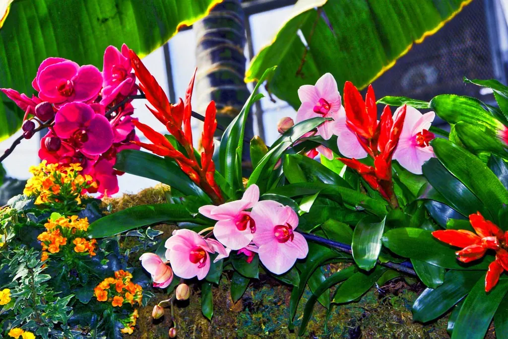 Planter filled with pink and red flowers