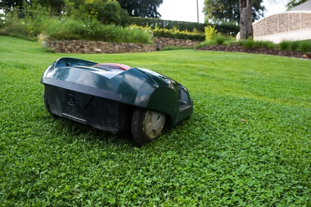 Lawn mowing: Lawn mower
