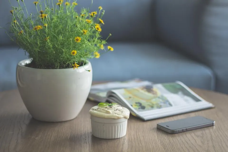 Planting: Plant Pot