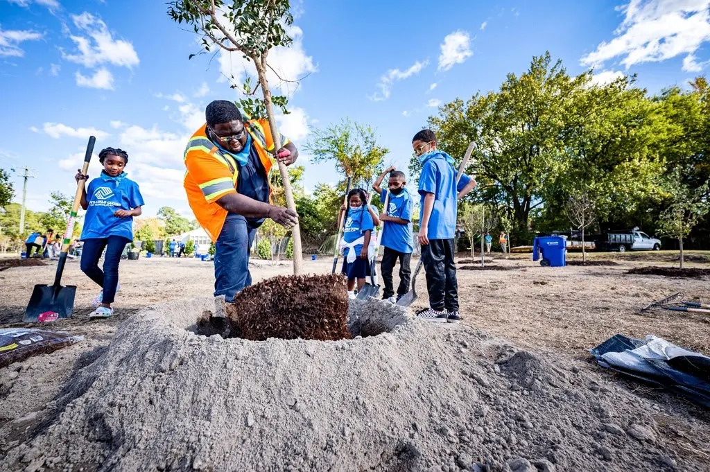 Tree trimming: Twenty children planted 43 trees
