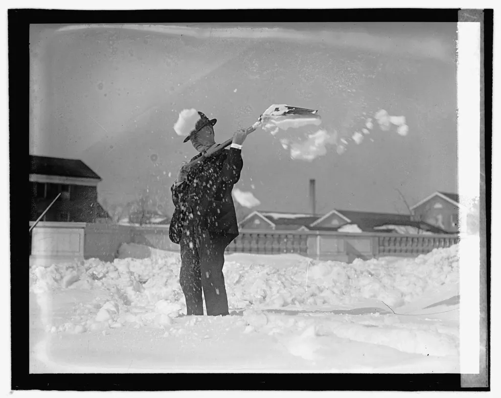Walkway clearing: Senator Cameron, 1/30/22